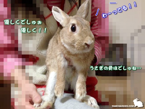 足見せるだけでしゅぉ