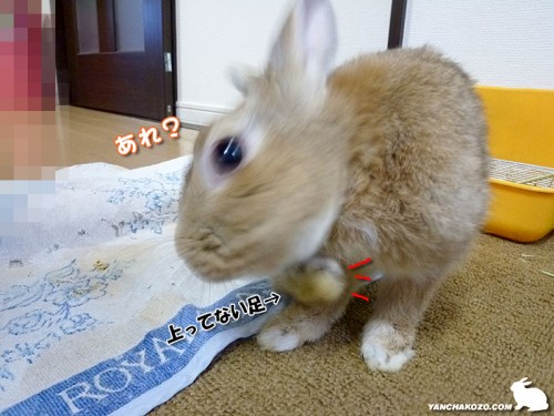上らない足