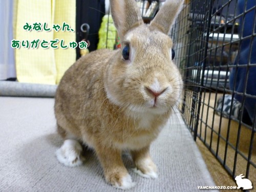 みんな、ありがと!