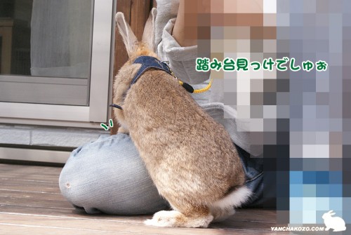 踏み台見っけー