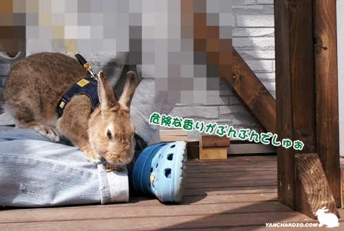 降りようかどうしようか・・・