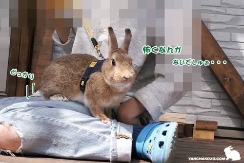 どっかり
