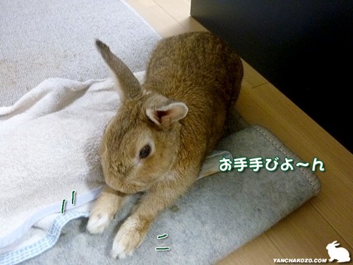 お手手びよ~ん