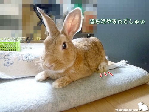 段々出てない?