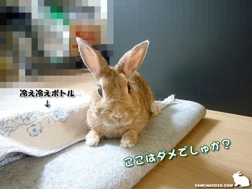 ここはダメ?