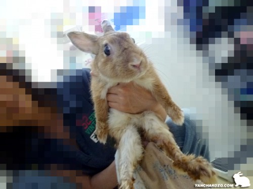 フキフキ中もぶら～ん