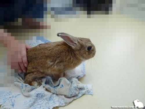 拭いている時もぼー