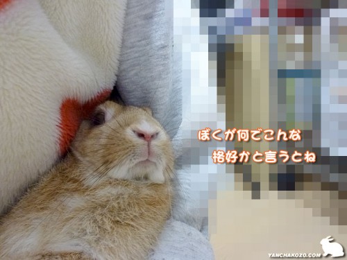 仰向け抱っこだ