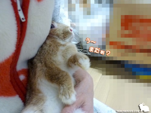 う~まだ?