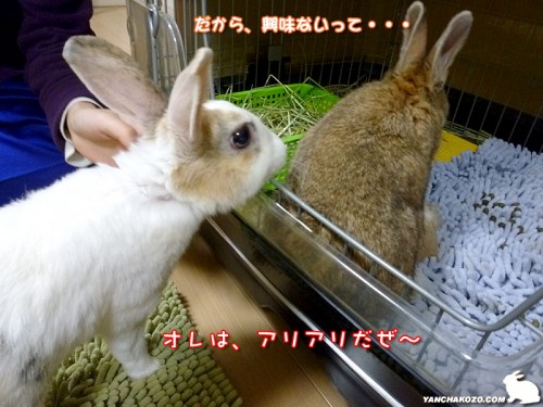 興味ないって・・・