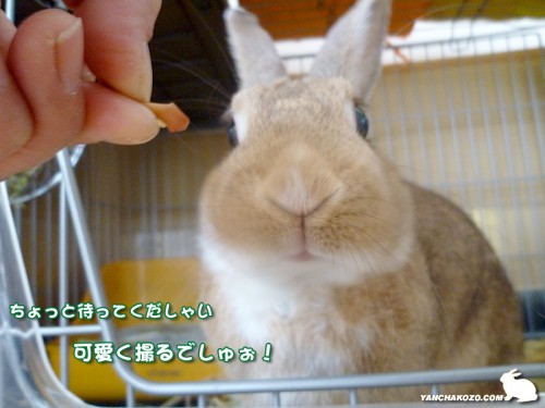 ちょっと待って