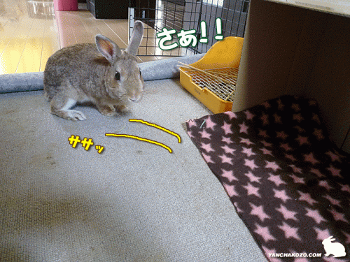 下がってます・・・