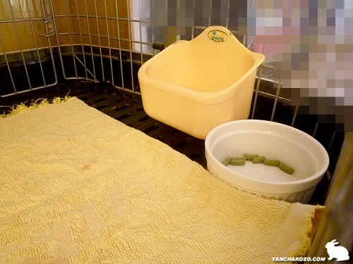 ペレット入れた