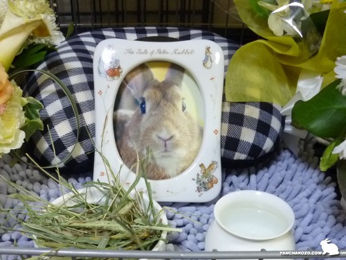 ちょこっぺ月へ