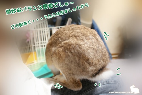 バランス感覚