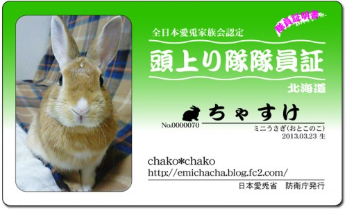 頭上がり隊-ちゃすけ 頭上がり隊-ちゃすけ