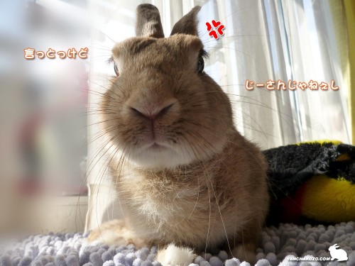 じーさんじゃねぇし