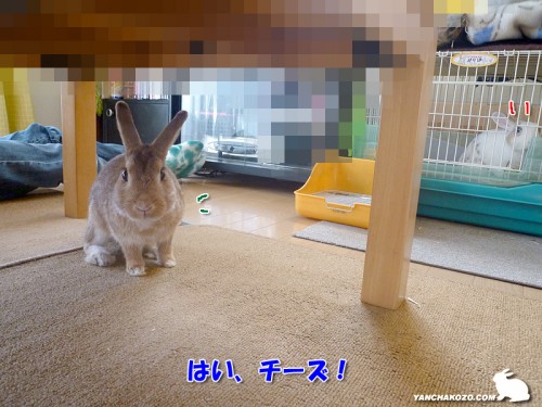 はい、チーズ！