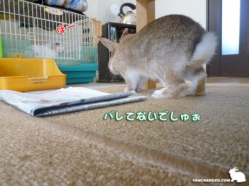 バレてないでしゅぉ