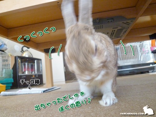 チッコ出ちゃった