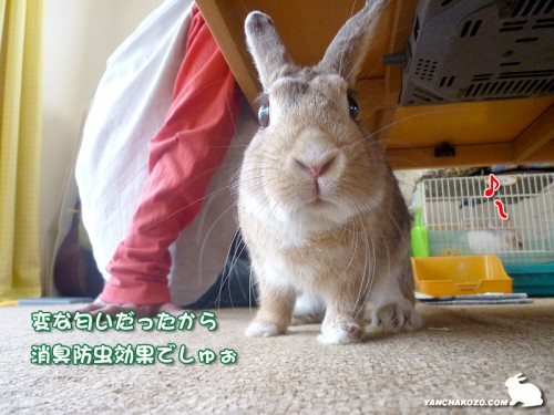 防臭防虫効果あり？