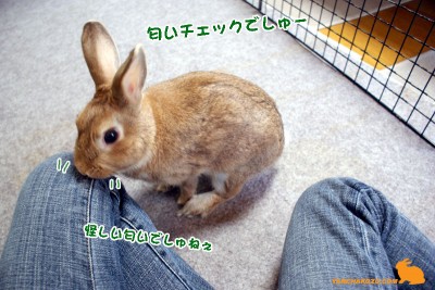 匂いチェックでしゅ