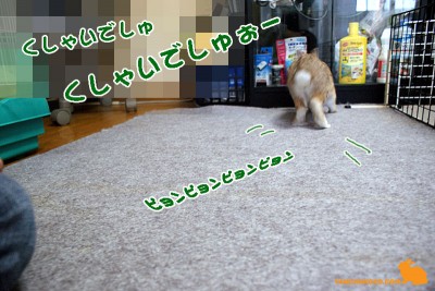 くしゃいでしゅぉー