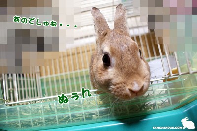 あのでしゅね・・・