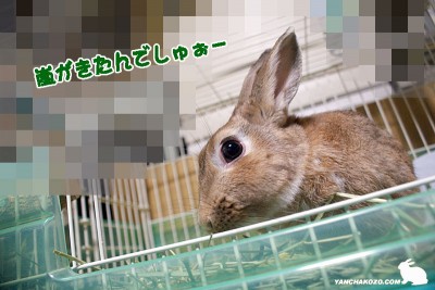 嵐が来た