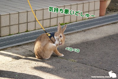 気持ち悪いでしゅー