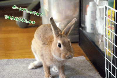 chocoボールはつまんない