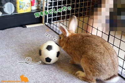 何するでしゅかっ！