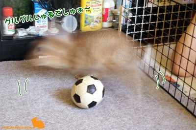 グルグルするでしゅぉ