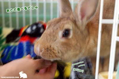 chocoびわに匂い付け chocoびわに匂い付け