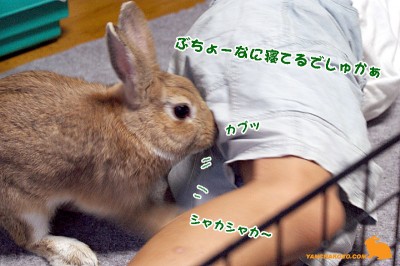 なに寝てるでしゅかぁ