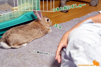 つまんないでしゅ