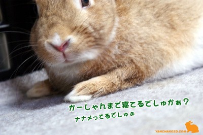 かーしゃんもでしゅか？