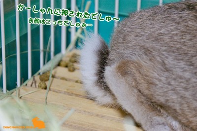母は気になる 母は気になる