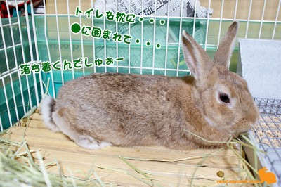 ●に囲まれて ●に囲まれて