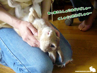 ちょこちょこちょ ちょこちょこちょ