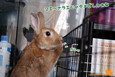 お手手で支えれば・・・