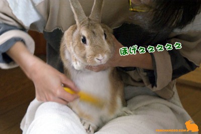 ほげぇぇぇ