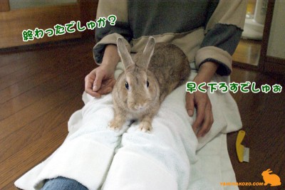 終わったでしゅか？