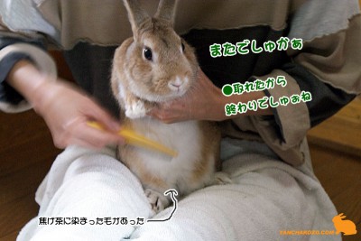 まだでしゅか？