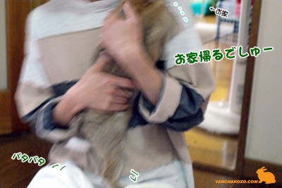 お家帰るでしゅー