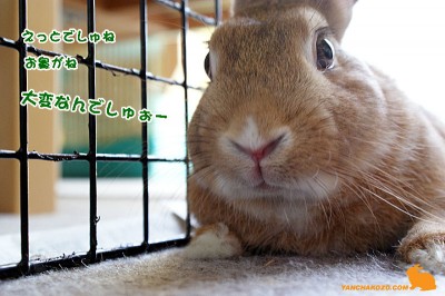 えっとでしゅね えっとでしゅね