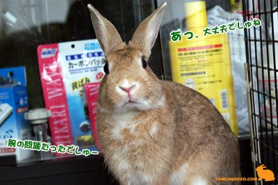 大丈夫でしゅね 大丈夫でしゅね