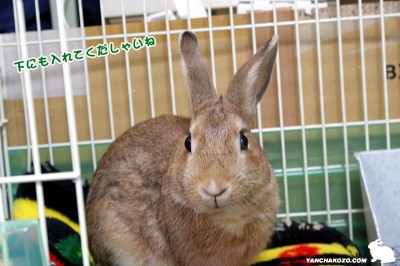 choco下にもね！