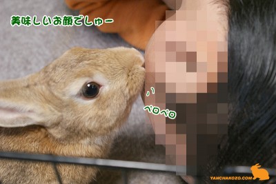 美味しい顔