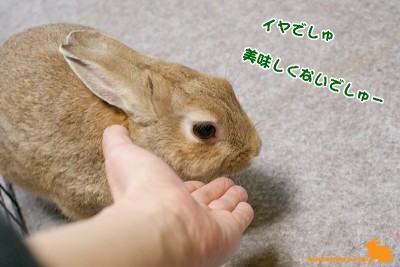 イヤ!